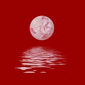 毛茸茸业余亚洲
