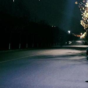 毛茸茸业余亚洲
